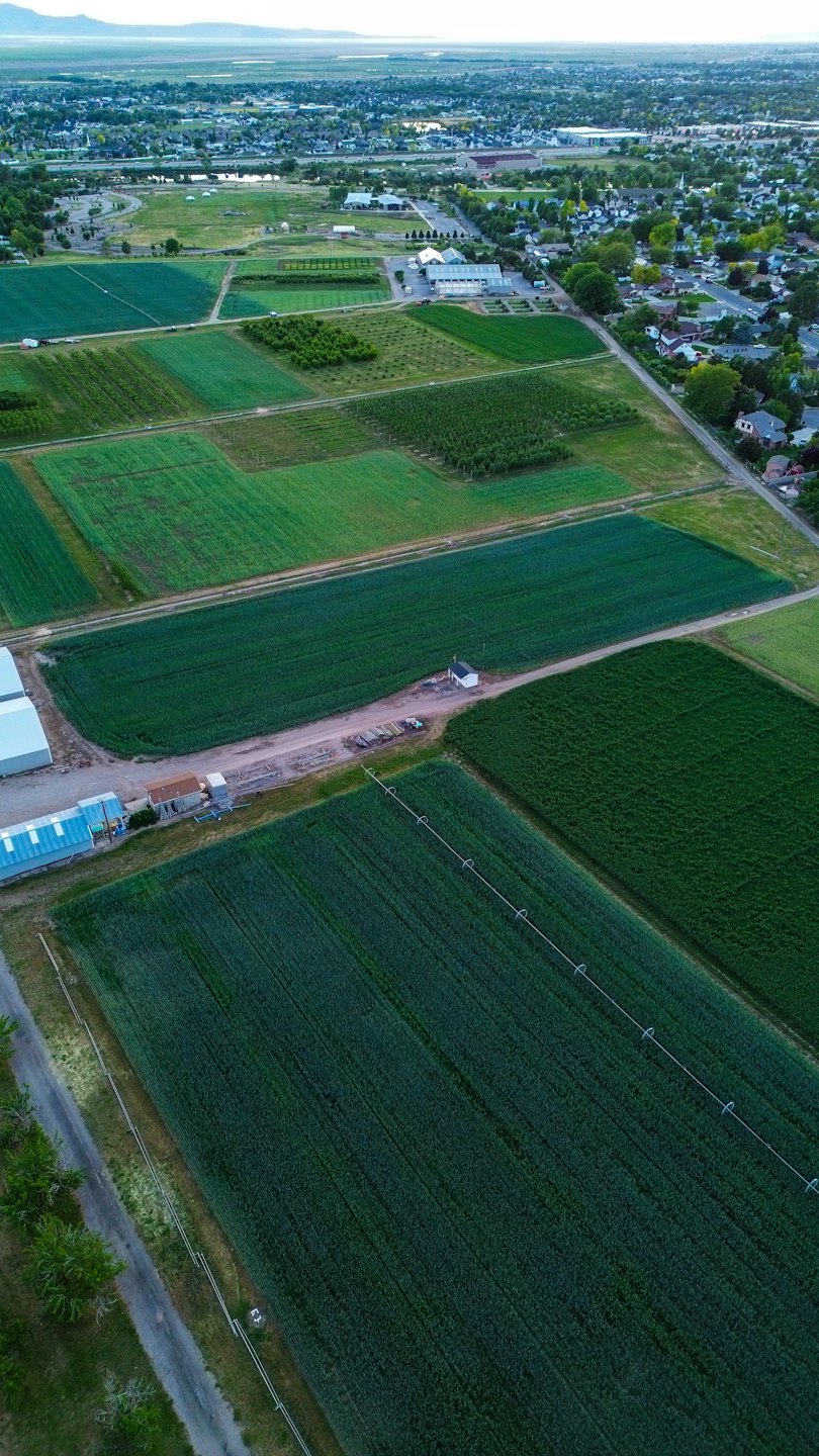 Agricultural fields and a residential town meet in the countryside.